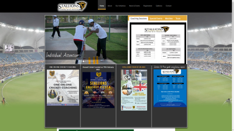 Stallions Cricket Academy
